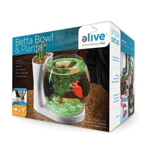 Elive Betta Fish Bowl / Betta Fish Tank with Planter