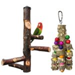 kathson Bird Perch Nature Wood Stand