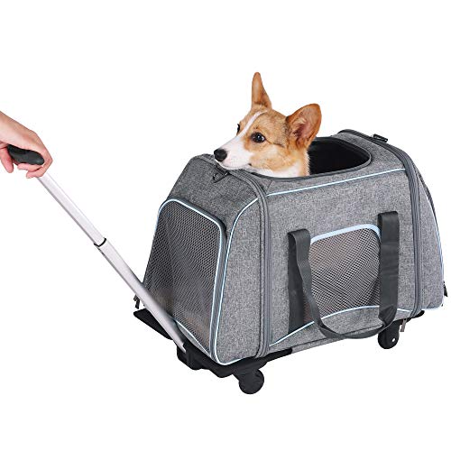 Petsfit Pet Carrier with Removable Wheels for Cats