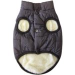 Cozy and Warm: 2-Layer Fleece-Lined Dog Jacket