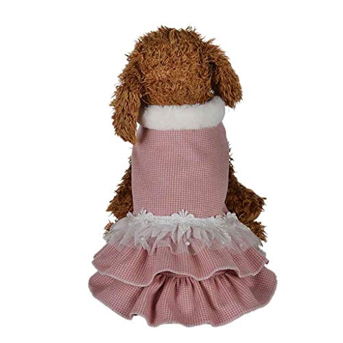 Fashion Print Lace Skirt Coat for Small Dogs and Cats