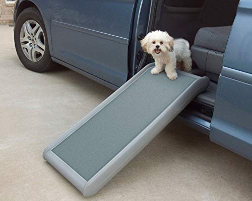 Portable, Outdoor Pet Ramp Lightweight