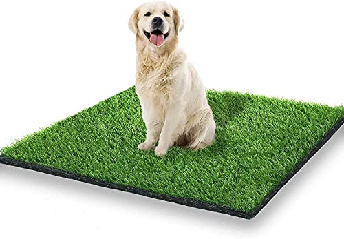 Dogs Outdoor Fake Grass Training Area