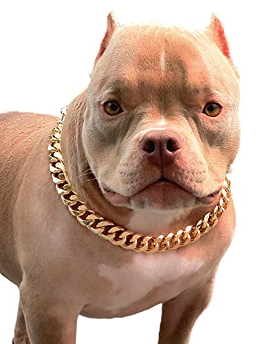 Cute Fashion Pet Collar for Pit Bulldog