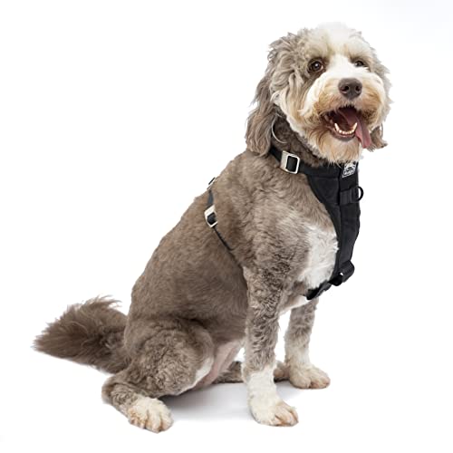 Kurgo Tru-Fit Enhanced Strength Dog Harness