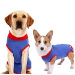 Professional Dog Onesie for Surgery