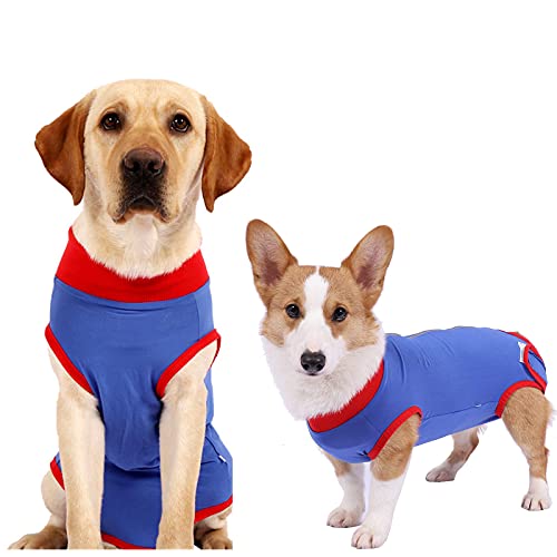 Professional Dog Onesie for Surgery