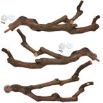 kathson Natural Parrot Perch Bird Stand