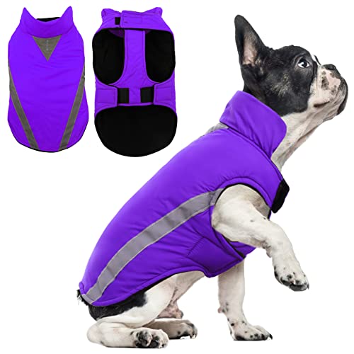 Warm and Windproof Dog Winter Coat for Small