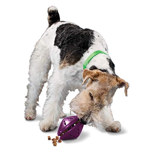 PetSafe Busy Buddy Twist 'n Treat Dispensing Dog Toy