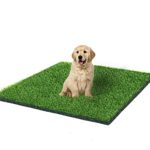 Grass Dog Grass Mat and Grass Doormat Indoor