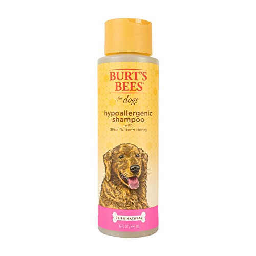 Burt's Bees for Dogs Hypoallergenic Dog Shampoo