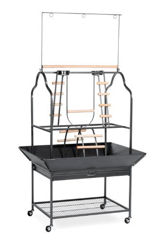 Prevue Hendryx Pet Products Parrot Playstand
