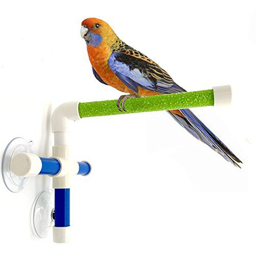 Hypeety Portable Suction Cup Bird Window and Shower Perch Toy