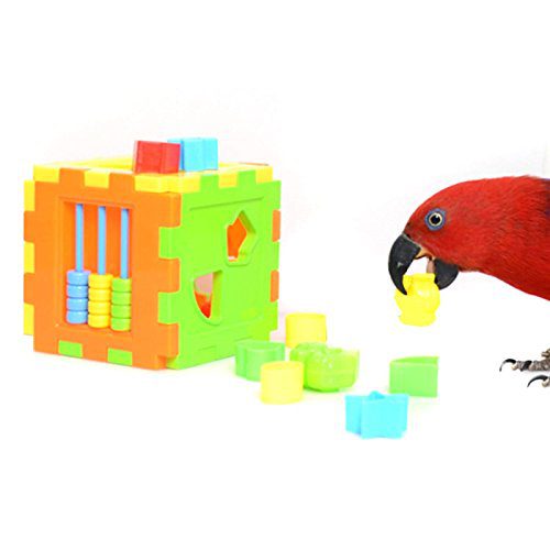 Hypeety Bird Parrot Brice Educational Training Building Block