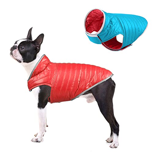 Didog Reversible Dog Winter Coat