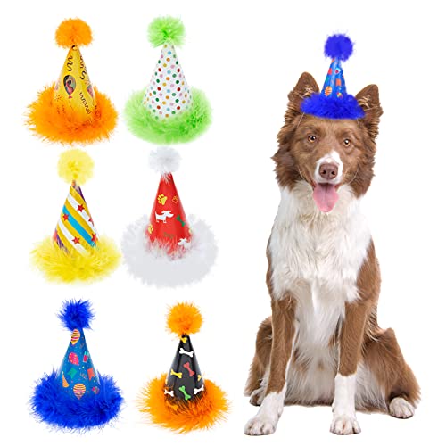 TAILGOO Dog Party Hat Set - 6 Pack