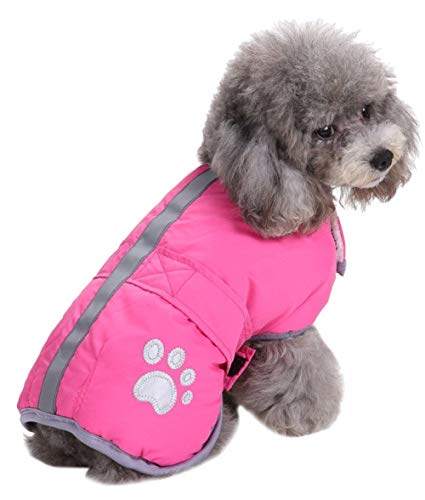 Queenmore Cold Weather Dog Coats Loft Reversible