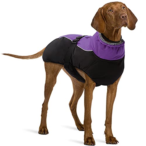 Dog Cold Weather Coat Full Coverage