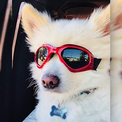 Dog Sunglasses Adjustable Strap for UV
