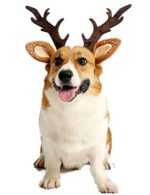 Headbands Elastic Band Adjustable Reindeer Cap