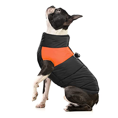 Dual D Ring Leash Dog Winter Waterproof Jacket