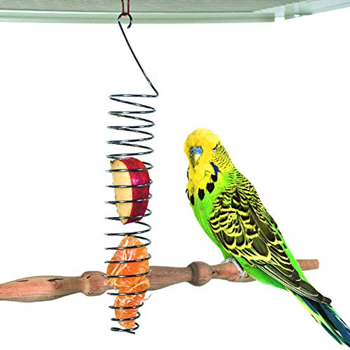 Hanging Parrots Foraging Toys for Birdcage