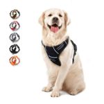 WALKTOFINE Comfortable Harness with Handle