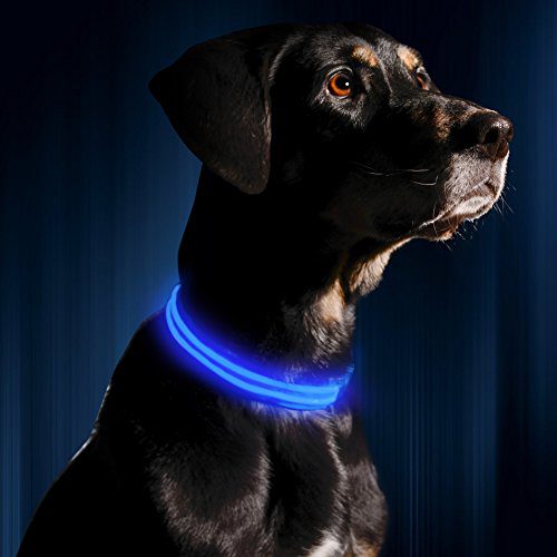 ILLUMISEEN LED Dog Collar USB Rechargeable