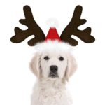 KUDES Dog Christmas Reindeer Antlers Headband