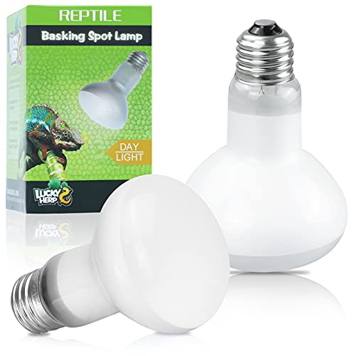 Reptile Heat Lamp Bulb for Turtle