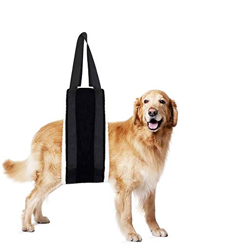 HNYG 30-120 lbs Large Dog Sling for Rear Legs