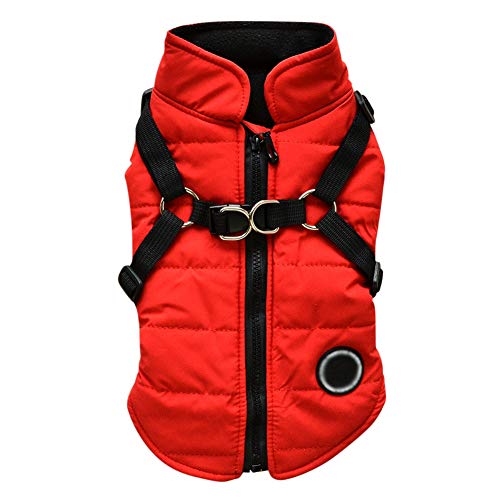 Dog Winter Coat with Harness Built in - Waterproof