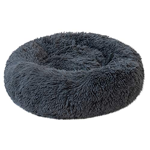 Letdown Pet Bed for Cats or Small Dogs
