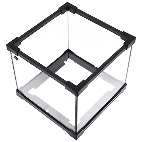 Reptile Feeding Glass Box Reptile