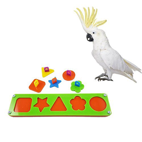 Hypeety Bird Intelligence Training Toy Puzzle Building Blocks