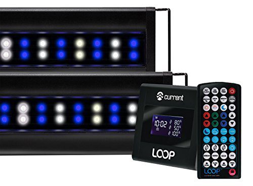 LED Reef Aquarium Dual Light System with Wireless Loop