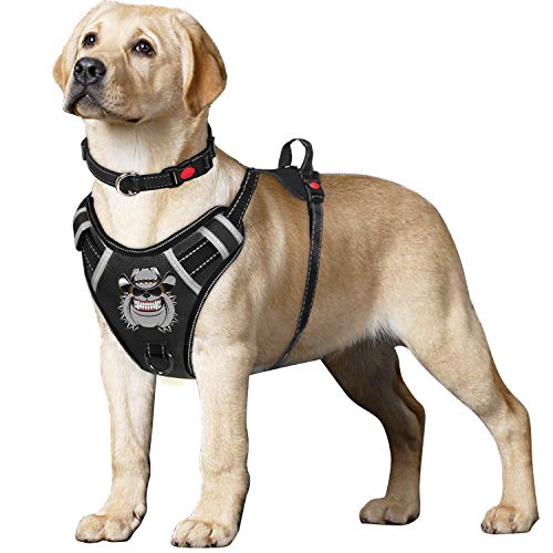 Dog Vest Set Reflective Adjustable Oxford Material