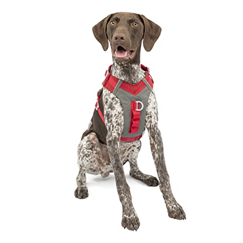 Kurgo Dog Harness for Large & Small Active Dogs