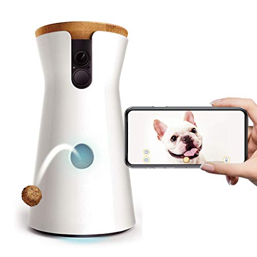 Treat Tossing and Barking Alert Dog Camera: Treat Tossing