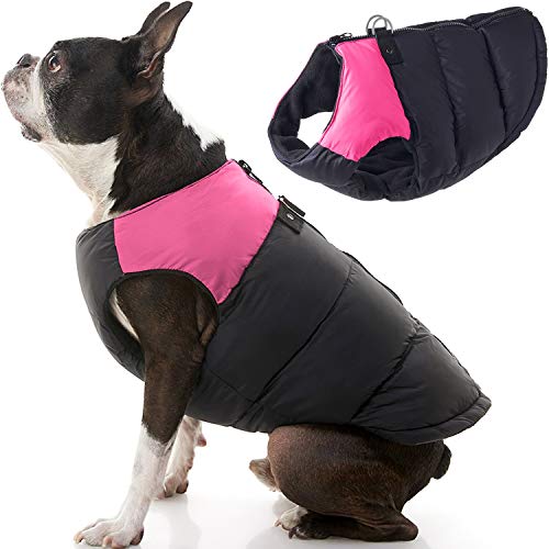 Padded Vest Dog Jacket with Dual D Ring Leash