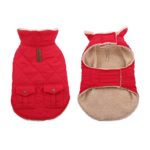 Queenmore Cold Weather Dog Coat