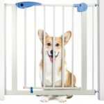 Heavy Duty Easy Open Walk-Thru Steel Safety Gate