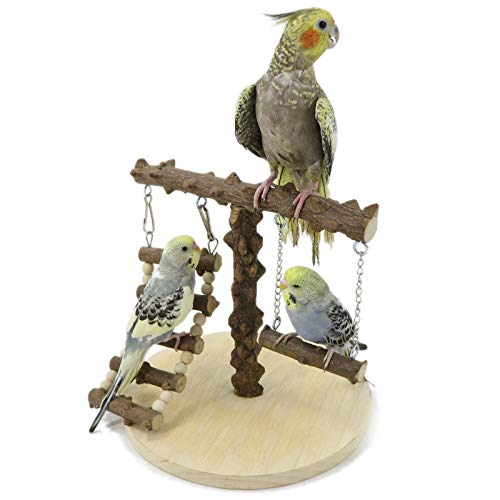 YINGGE Bird Training Rack Parrot Playstand
