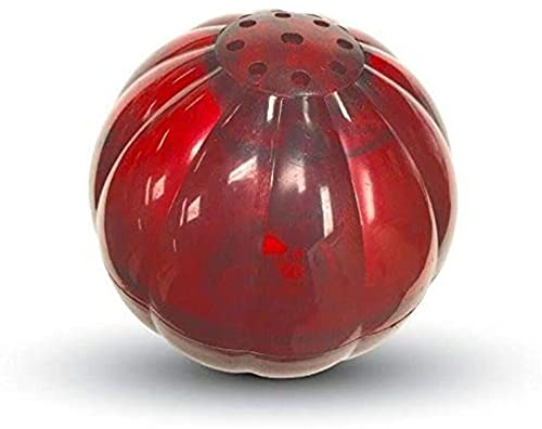 Pet Qwerks Blinky Babble Ball Chew Toy for Large Dogs