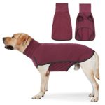 Soft Autumn Winter Turtleneck Dog Sweater