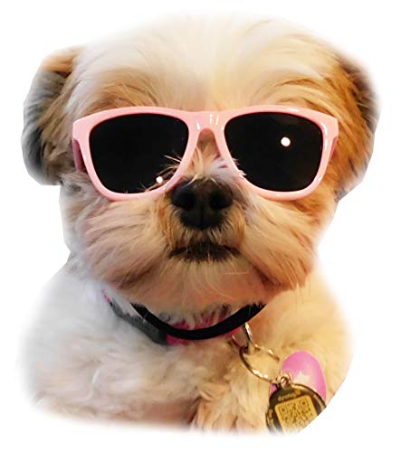 G014 Dog Pet 80s Sunglasses Goggles for Small Dogs