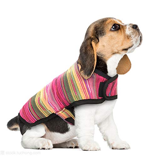 Blanket Dog Poncho for Small Dogs & Cats Mexican Serape