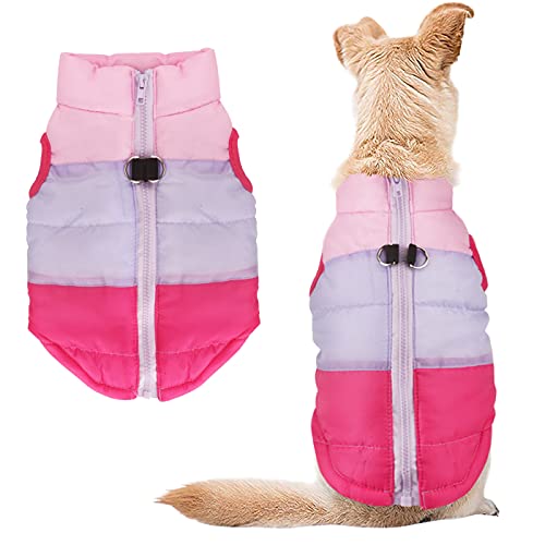 Dog Cats Coat with Leash Anchor