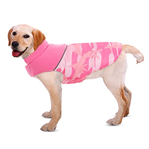 Queenmore Warm Dog Jacket, Reversible Dog Winter Coat
